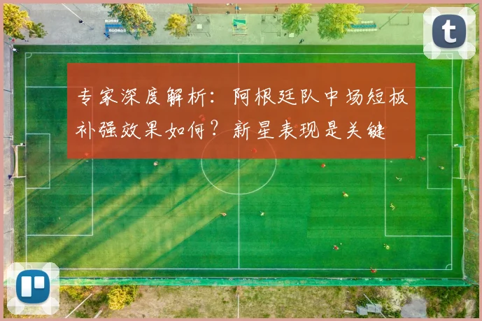 专家深度解析：阿根廷队中场短板补强效果如何？新星表现是关键